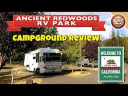 California Redwoods Campground Review: Ancient Redwoods RV Park