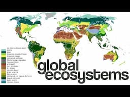 What are Global Ecosystems/Biomes?