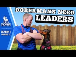 The Leadership Secret Dobermans Crave | Dobie Masters - S1E13