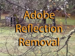 Adobe's Reflection Removal