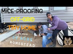 🐭OFF-GRID Homestead MICE Defense🐁 SEALING ALL Entry Points Under Our TINY Home #homestead #offgrid