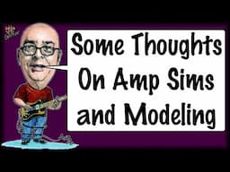 Some Thoughts On Amp Simulations