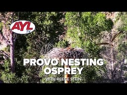 Provo Osprey Habitat with Reece Stein