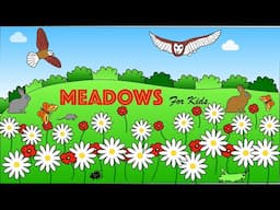 Meadows for Kids