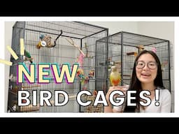 SETTING UP MY BIRDS' NEW CAGES | Total Cost and Where I Got Everything!