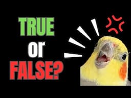 Debunking Pet Parrot Myths | BirdNerdSophie