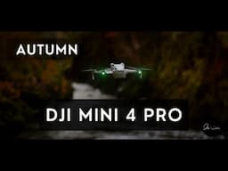 6 TIPS for AUTUMN DRONE CINEMATOGRAPHY // with drones such as DJI Mini 4 Pro, Mini 3 Pro