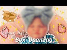 REBORN DOLL BOX OPENING| Reborns World