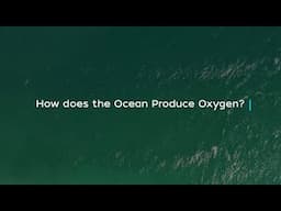 How does the Ocean Produce Oxygen?