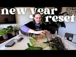 a fresh start to the new year 🪴 2025 plant goals, supplies haul & more