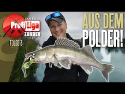 Sebastian hat den Zander-Polder! Profi Liga Zander Staffel 2, Folge 3