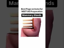 Mammary Gland | NEET UG #neet #neetbiology #neet2025