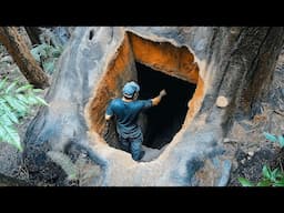 Man Turns Massive Tree into Secret Shelter | Start to Finish by @Wildbuilding98