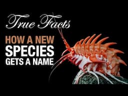 True Facts: How A Species Gets A Name!