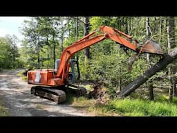 Cutting down more dead pine trees