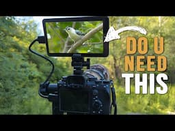 Why I Started Using an EXTERNAL Monitor for My Bird Photography | Shimbol Memory I