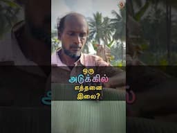 🌱 ஒரு அடுக்கில் எத்தனை இலை? 🤔 MudPot Channel