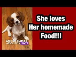 DIY Homemade Dog Food the best recipe and cheap!!!