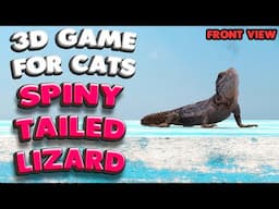 3D game for cats | The spiny-tailed lizard (front view) | 4K, 60 fps, stereo sound