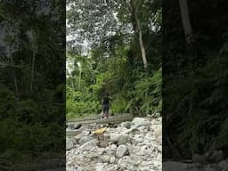 Hutan menjadi tempat ternyaman #hutan #hutanrimba #sungai #air