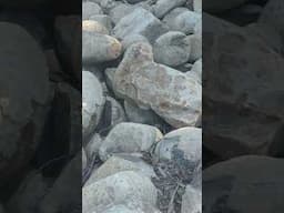 Weathered Basalt Boulders