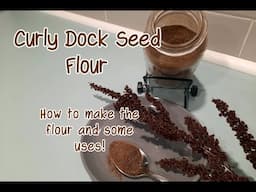 How to Make Curly Dock Flour