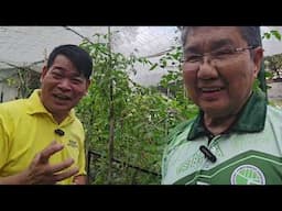 LAMBERT NOLASCO: Ambassador of Urban Garden #farming #garden #agriculture