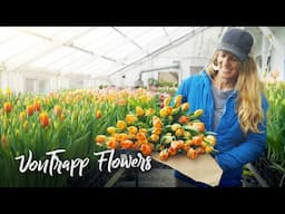 Shocking way to grow 200,000 GORGEOUS tulips in the WINTER in Vermont!