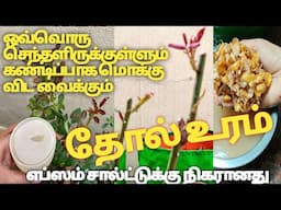 Badam Peel Fertilizer ll ரோஜா மற்றும் அனைத்து செடிகளையும் உறுதியாக்கி அதிகளவில் பூக்க வைக்கும் உரம்.