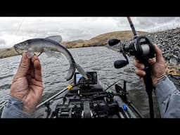 Fishing Big Baits only after a trout plant on small body of water