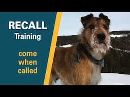 Recall Training | Teach a dog to come when called  | Full obedience tutorial with SIT PRESENT