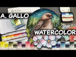 A Gallo Watercolor Review - Swatch Cards, Rare Pigments, Favorite Colors (w/Guest Voice-Over)