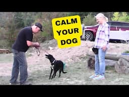 I Showed This Dog Owner How to Stay calm When Guests Arrive