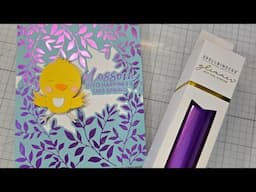 Spellbinders Feb 2025 Glimmer of the Month club