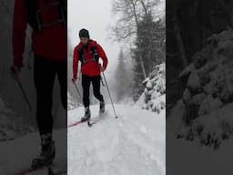 Falling in Love with Cross Country Skiing