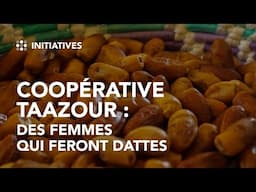 Taazour Cooperative : Harvesting the Sweet fruit of Labour