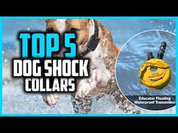 ✅Top 5 Best Dog Shock Collars in 2025