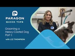 Quick Tips: Grooming a Heavy-Coated Dog with Liz Thompson - Part 1