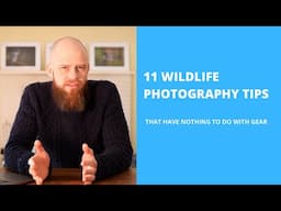 11 WILDLIFE PHOTOGRAPHY TIPS THAT HAVE NOTHING TO DO WITH GEAR (2020)