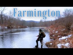 New England’s Best Winter Fly Fishing | Farmington River Wild Brown Trout