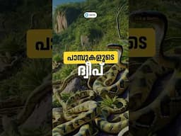 പാമ്പുകളുടെ ദ്വീപ്