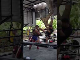 Another Head kick technique #muaythai #mma