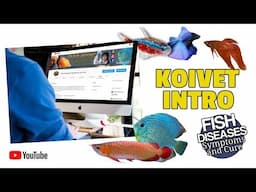 Koivet Channel:  Help With Sick Fish and Intro To The Channel