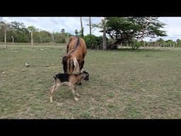 MOMENTO DA VIDA E DA NATUREZA MOMENTOS DE EMOÇÃO DA VIDA