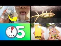 25 Cosas que NO Sabías en 5 minutos!! ⏰😲 [230]