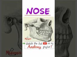 Anatomy of the Nose - Head & Neck Anatomy...#anatomy #physiology #biology #nurse #doctor #mbbs #art