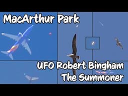 MacArthur Park  | UFO Robert Bingham, The Summoner