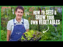 How To Seed And Grow You Own Vegetables with Ainslie Urban Farm