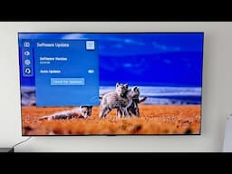 LG OLED update 03.41.05 FROZE TV for some!