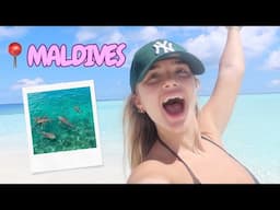 I went swimming with sharks!! bucket list moment ✨